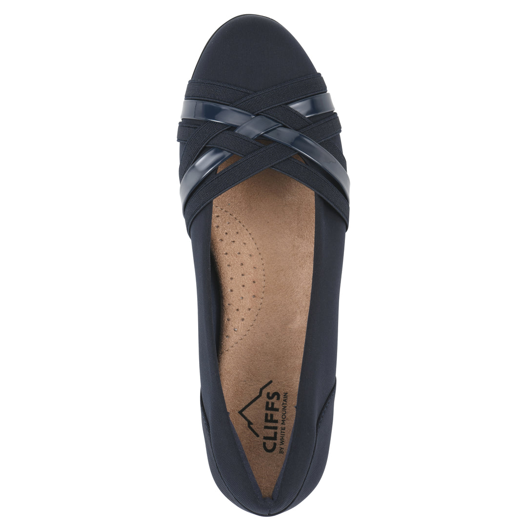 Chic Ballet Flat
